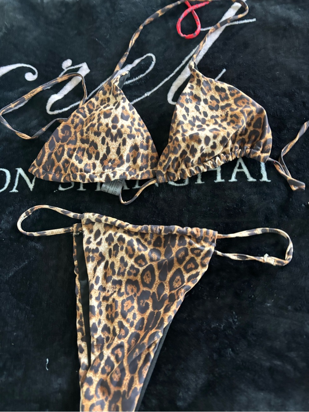 Leopard Print Triangle Bikini Top & Bottom - Brown